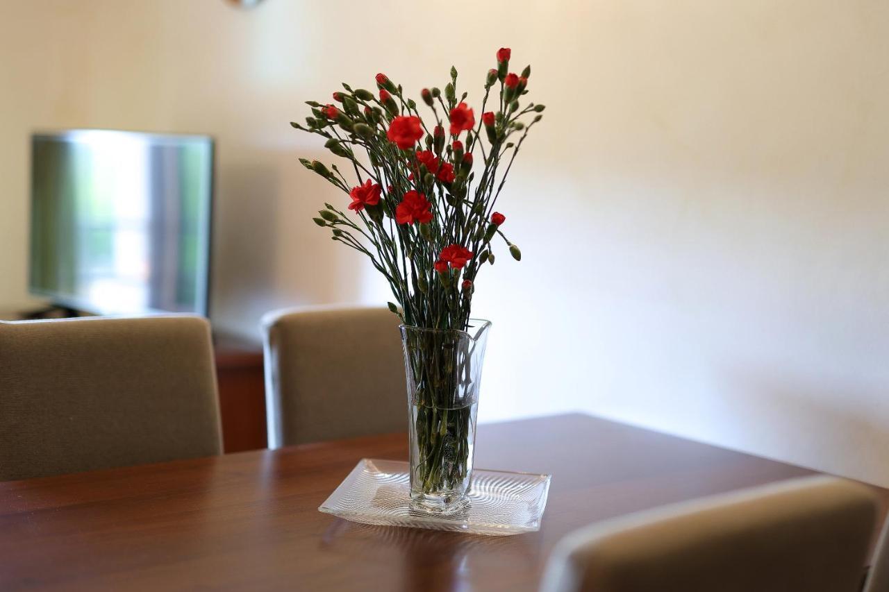Casa Rustica Dva Baladura Apartments Kanfanar Zewnętrze zdjęcie